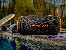 Głośniki TRACER XtremeBeat PRO TWS BT RGB BLACK