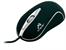 Mysz  TRACER Rayon black TRM-118 USB