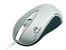 Mysz  TRACER Rayon silver USB