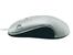 Mysz  TRACER Rayon silver USB