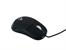 Mysz  TRACER Mambo black TRM-130 USB
