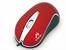 Mysz  TRACER Rayon red TRM-118 USB