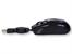 Mysz  TRACER Paris TRM-401 zwUSB