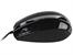 Mysz  TRACER Skyline Black TRM-142 USB+PS2