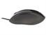 Mysz  TRACER Shark TRM-149 USB