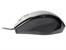 Mysz  TRACER Rino TRM-161 USB