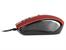 Mysz TRACER Rider USB