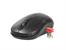 Mysz  TRACER Windy RF nano