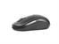 Mysz  TRACER Windy RF nano