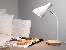 Lampka biurkowa Tracer Scandi White