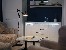 Lampa podłogowa Tracer FlexiBright