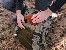 Plecak wyprawowy 16" Tracer Evo Camo 25L