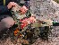 Plecak wyprawowy 16" Tracer Evo Camo 25L